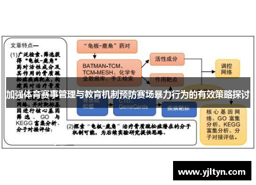 加强体育赛事管理与教育机制预防赛场暴力行为的有效策略探讨